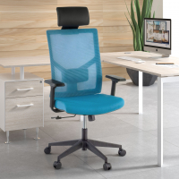 Chaise de Bureau Ergonomique Verdi, avec appui-tête et accoudoirs ajustables
