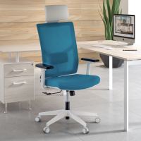 Chaise pour Ordinateur Ergonomique Verdi white, avec appui-tête et accoudoirs ajustables