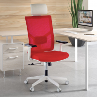 Chaise pour Ordinateur Ergonomique Verdi white, avec appui-tête et accoudoirs ajustables
