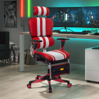 Chaise Gaming Professionnel...