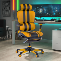 Chaise Gaming Professionnel...