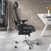 Chaise Ergonomique Thunder,...