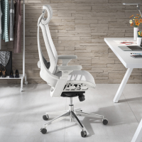 Chaise Ergonomique Thunder, haut de gamme, en maille