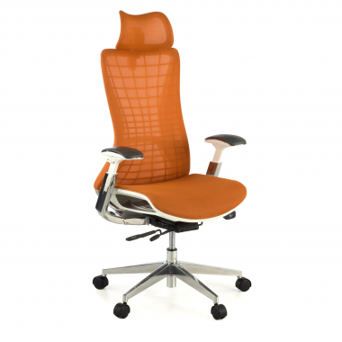 Chaise Ergonomique Professionnelle Miller, avec accoudoirs 3D, en maille