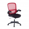 Chaise pour Ordinateur avec accoudoirs rabattables River et coussin lombaire