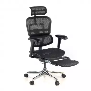 Chaise ergonomique avec repose-pieds Ergohuman Edition I, haut de gamme