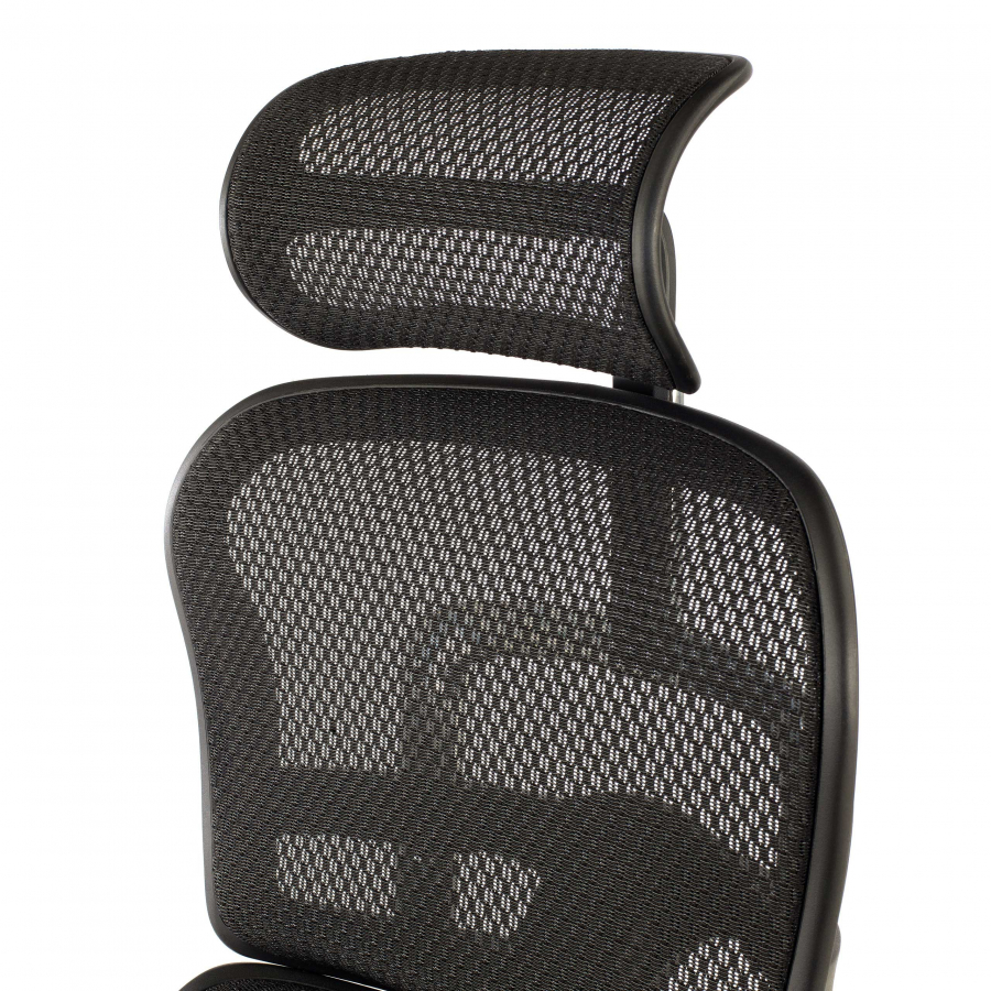 Chaise ergonomique avec repose-pieds Ergohuman Edition I, haut de gamme