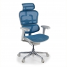 Chaise de direction ergonomique Ergohuman Edition I, Structure blanche