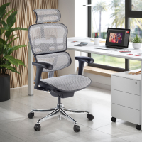 Chaise de direction ergonomique Ergohuman Edition I, Structure noire