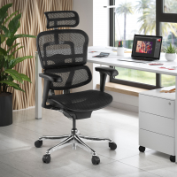 Chaise de direction ergonomique Ergohuman Edition I, Structure noire
