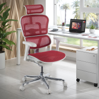 Chaise de direction ergonomique Ergohuman Edition I, Structure blanche