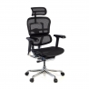 Chaise de direction ergonomique Ergohuman Elite, Structure noire