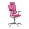 Chaise de direction ergonomique Ergohuman Edition I, Structure blanche