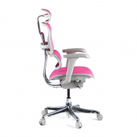 Chaise de direction ergonomique Ergohuman Edition I, Structure blanc