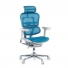 Chaise Ergonomique Ergohuman Elite, siège rembourré, structure noire