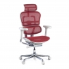 Chaise Ergonomique Ergohuman Elite, siège rembourré, structure noire