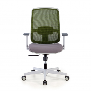 chaise de bureau blanc vert structure blanche maille accoudoirs reglables 1d soutien lombaire 3