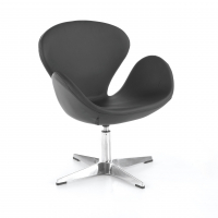Fauteuil Salle Attente...