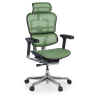 Chaise de direction ergonomique Ergohuman Elite, Structure noire