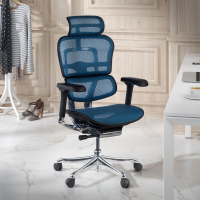 Chaise de direction ergonomique Ergohuman Elite, Structure noire