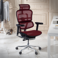 Chaise de direction ergonomique Ergohuman Elite, Structure noire