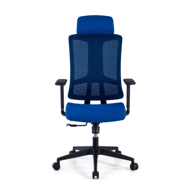 chaise ergonomique bleu structure noire maille accoudoirs reglables 3d soutien lombaire appui tete 3