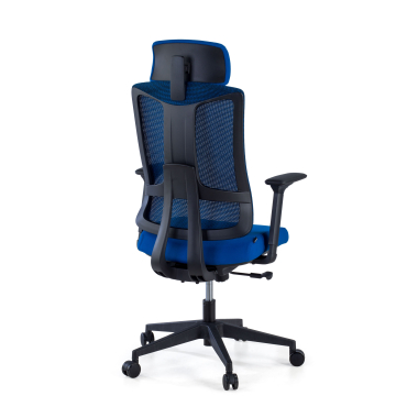 chaise ergonomique bleu structure noire maille accoudoirs reglables 3d soutien lombaire appui tete 5