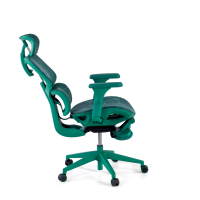 Chaise ergonomique Every, avec Repose Pieds Extensible, maille