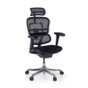 Chaise Ergonomique Ergohuman V2, siège rembourré, structure noire