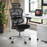 Chaise Ergonomique Ergohuman V2, siège rembourré, structure noire