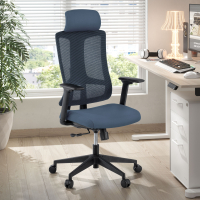 Chaise de Bureau Ergonomique Team2, Professionnelle, usage intensif