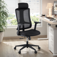 Chaise de Bureau Ergonomique Team2, Professionnelle, usage intensif