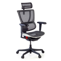 Chaise de Bureau IOO Gaming...