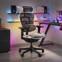 Chaise Ergohuman Ultra Gaming Edition Black Carbon
