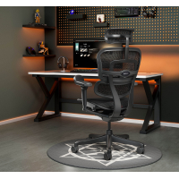 Chaise Ergohuman Ultra Black Carbon Edition